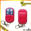 wireless remote control car/remote control door lock